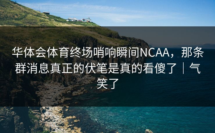 华体会体育终场哨响瞬间NCAA，那条群消息真正的伏笔是真的看傻了｜气笑了